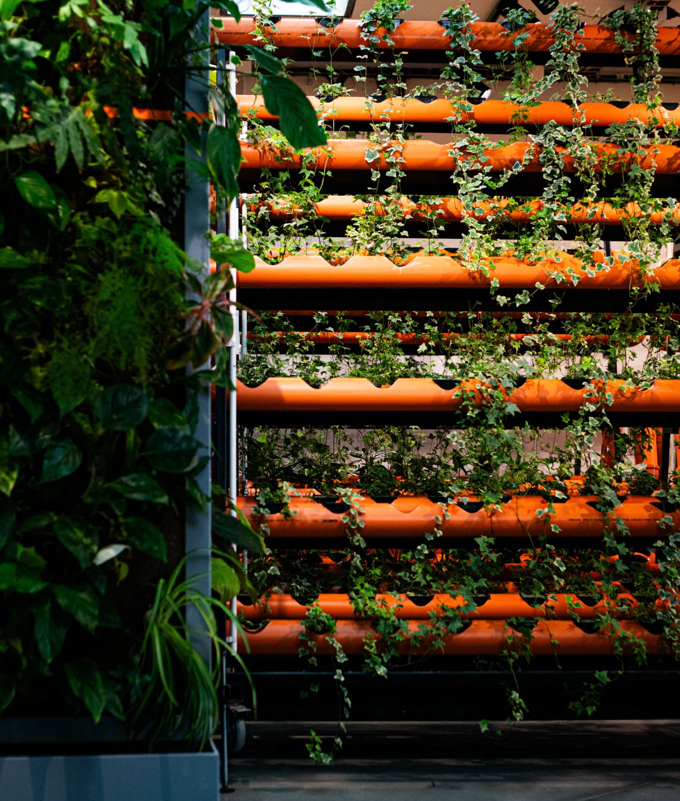 Naše produkty, které si připravujeme a vypěsujeme u nás