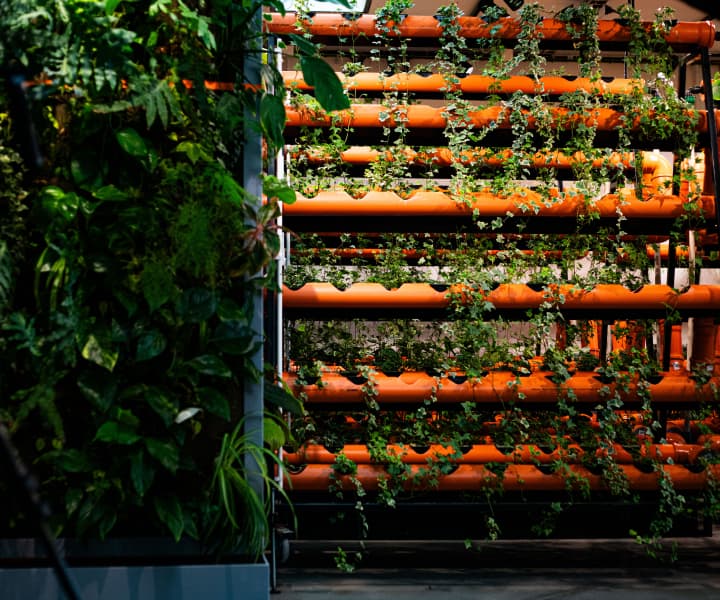 Naše produkty, které si připravujeme a vypěsujeme u nás