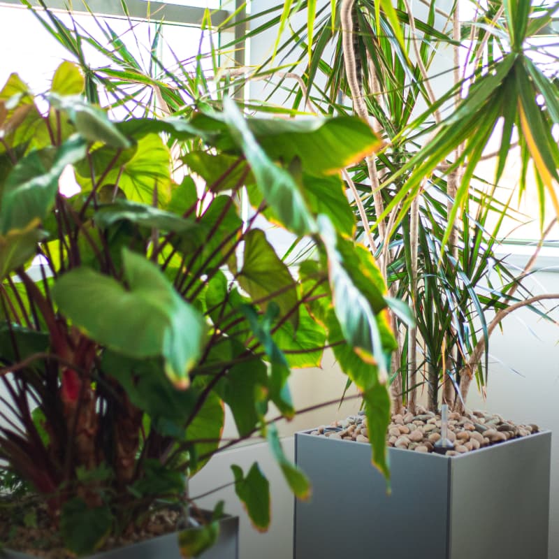 Interiérová směs hover