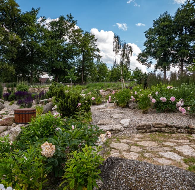 Udržitelná zahrada bez chemie s kombinací louky, kamenů a vody