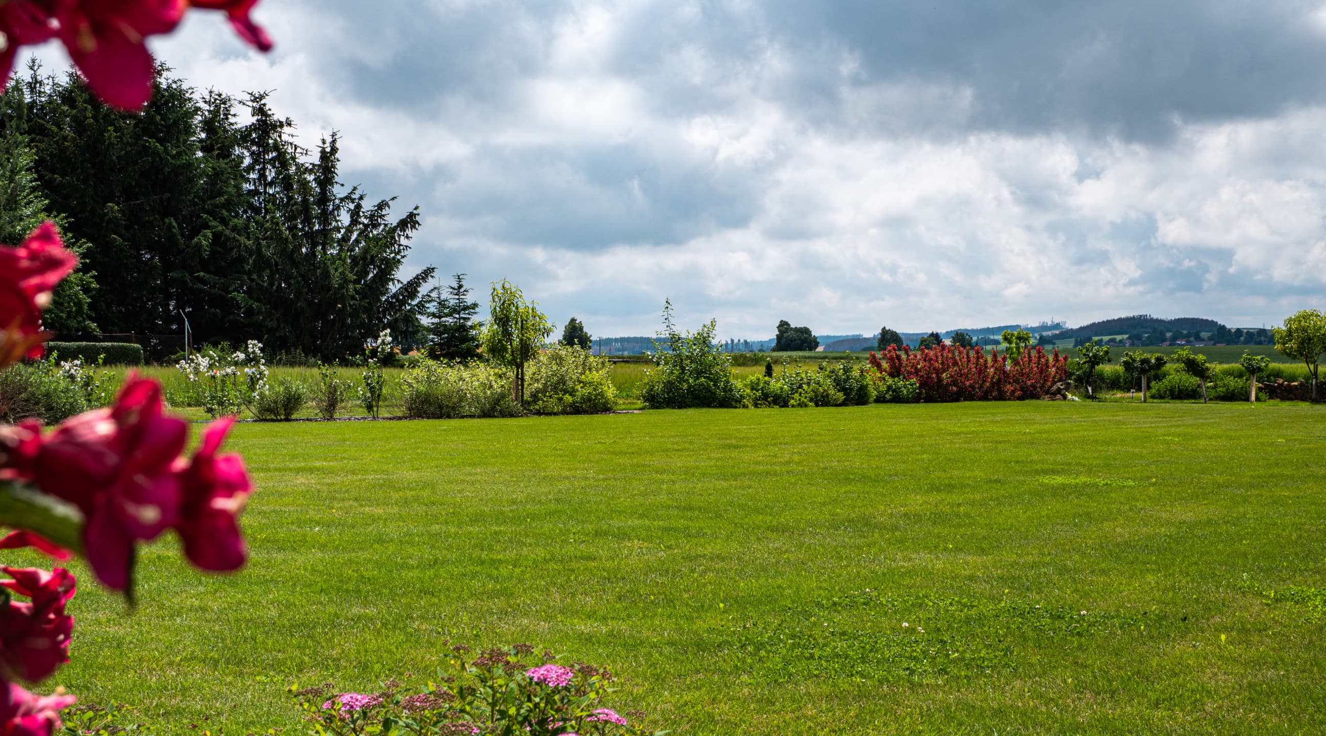 Zdravý trávník bez chemie s rovnoměrným růstem
