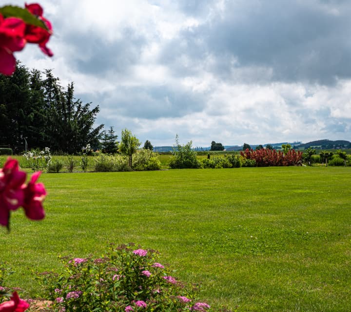 Zdravý trávník bez chemie s rovnoměrným růstem