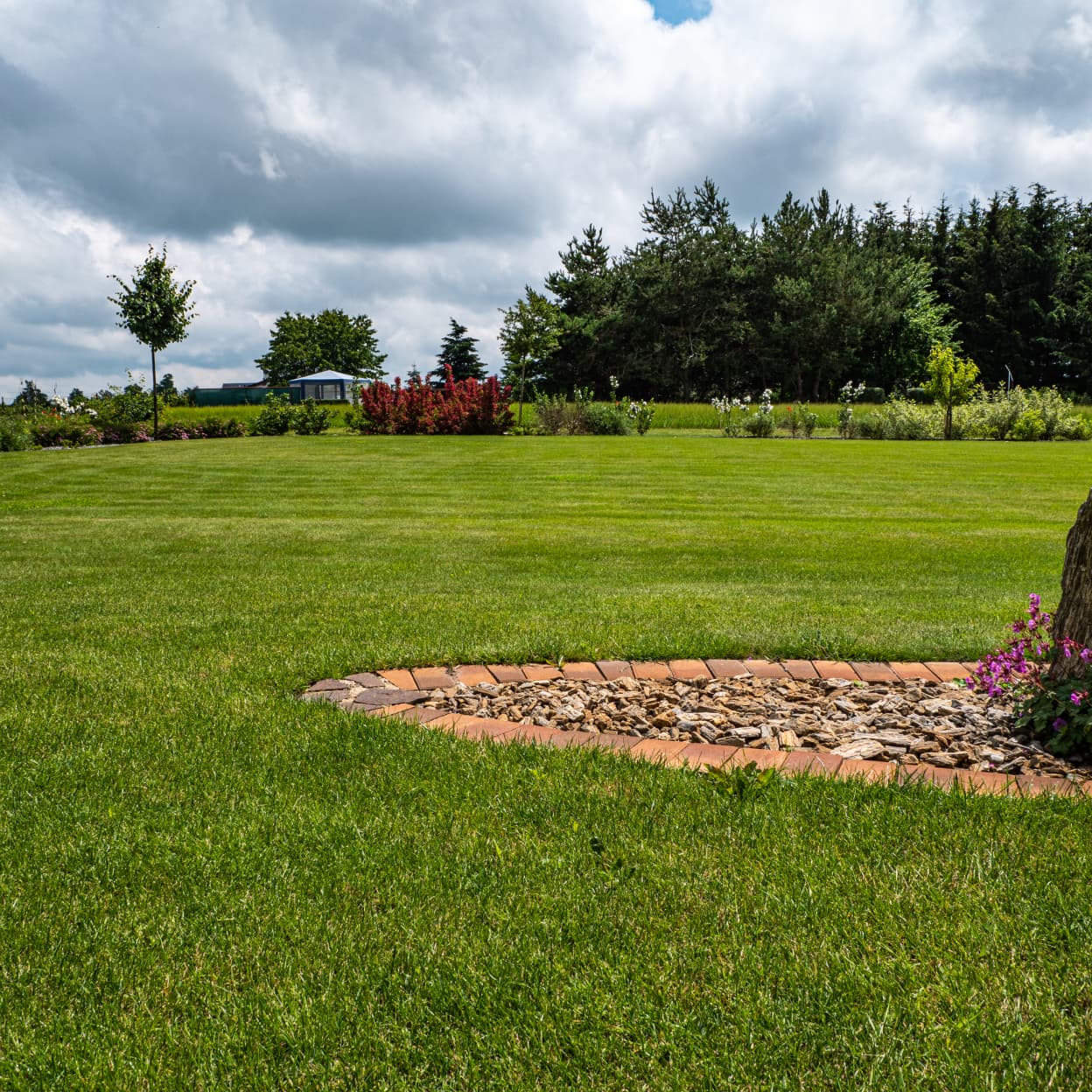 Hustý trávník a trvalková výsadba