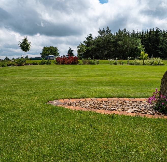 Hustý trávník a trvalková výsadba