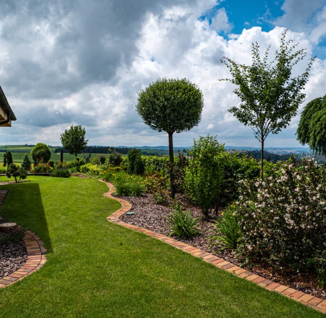 Přírodní zahrada bez hranic s hustým trávníkem a trvalkovou výsadbou