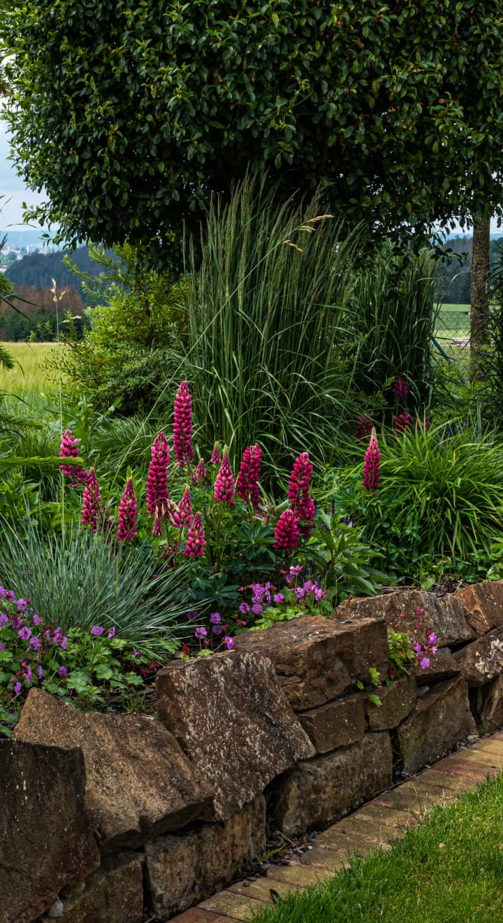 Zahrada bez chemie s kamennou zídkou a přirozenou výsadbou trvalek