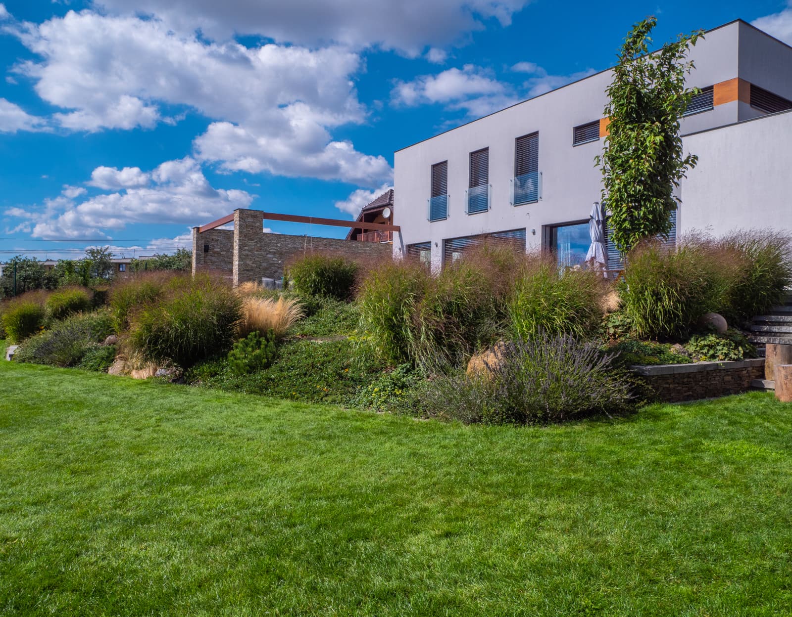 Silný a odolný trávník pěstovaný bez použití chemie