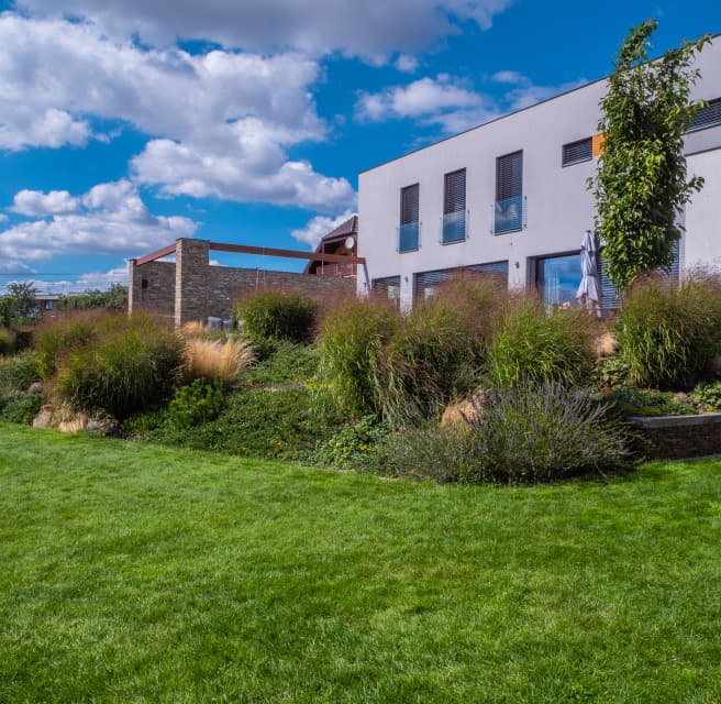 Silný a odolný trávník pěstovaný bez použití chemie