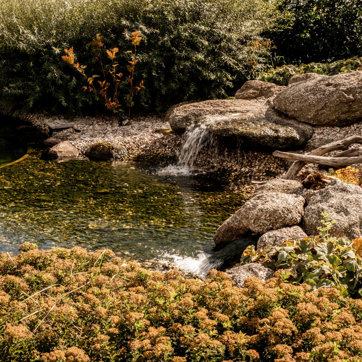 Přírodní vodní prvek ke koupání obklopený zelení