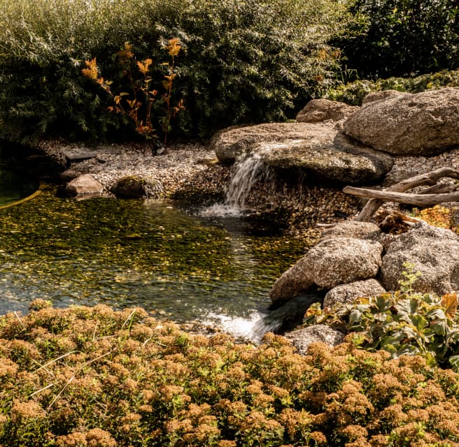 Přírodní vodní prvek ke koupání obklopený zelení