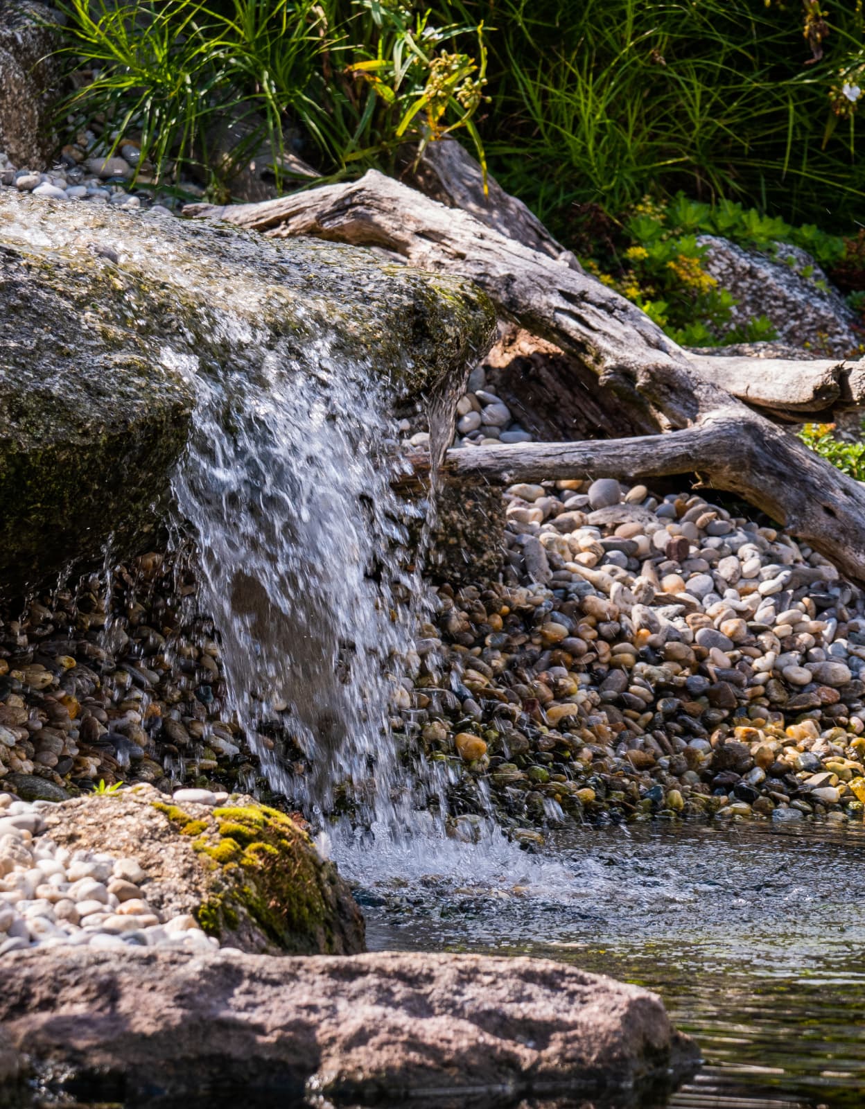 Klidné koupací jezírko v zahradě v souladu s přírodou