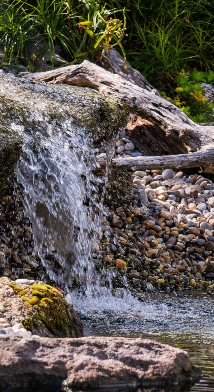 Klidné koupací jezírko v zahradě v souladu s přírodou