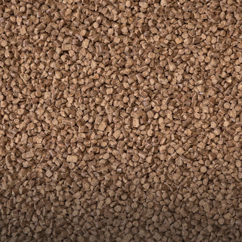 BIO pěstování zeleniny hover