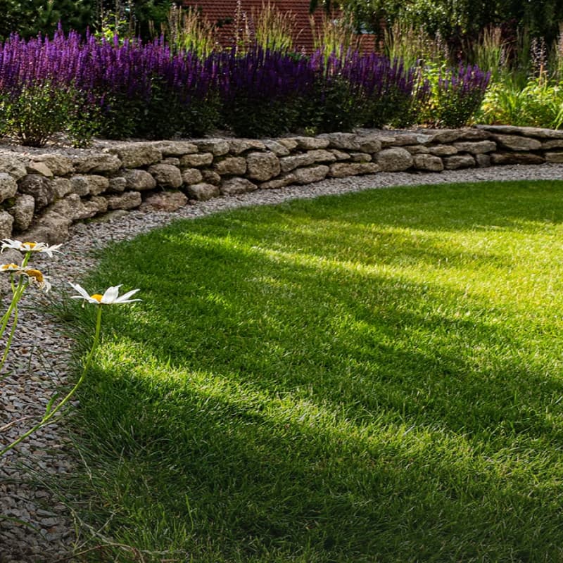 Trávníková směs hover