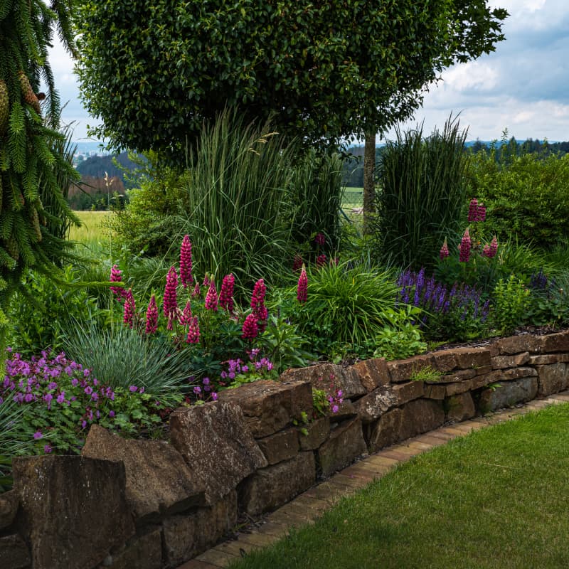 Směs pro výsadbu hover