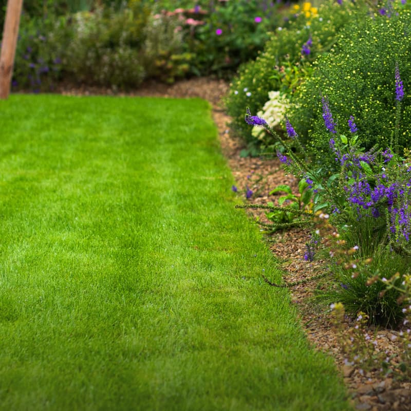 Trávníkový koncentrát hover