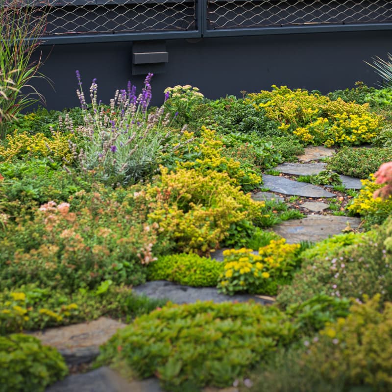 Střešní směs hover