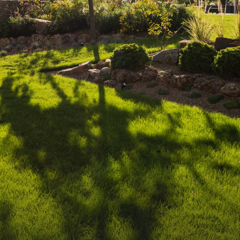 Trávníková směs s lávou hover